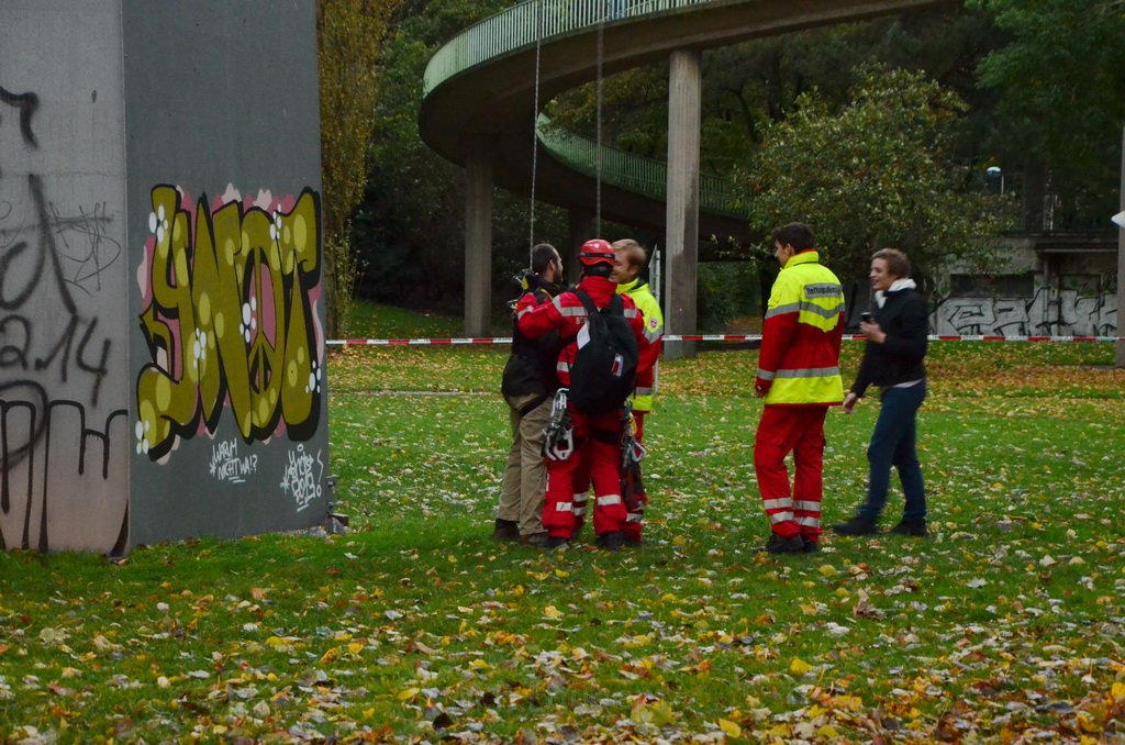 Einsatz BF Hoehenretter Koelner Seilbahn Hoehe Zoobruecke P2210.JPG